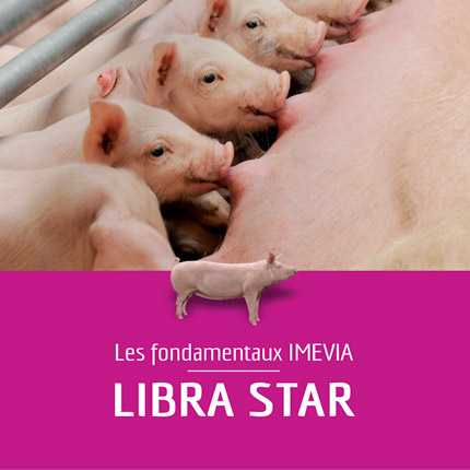 Les Fondamentaux Libra Star